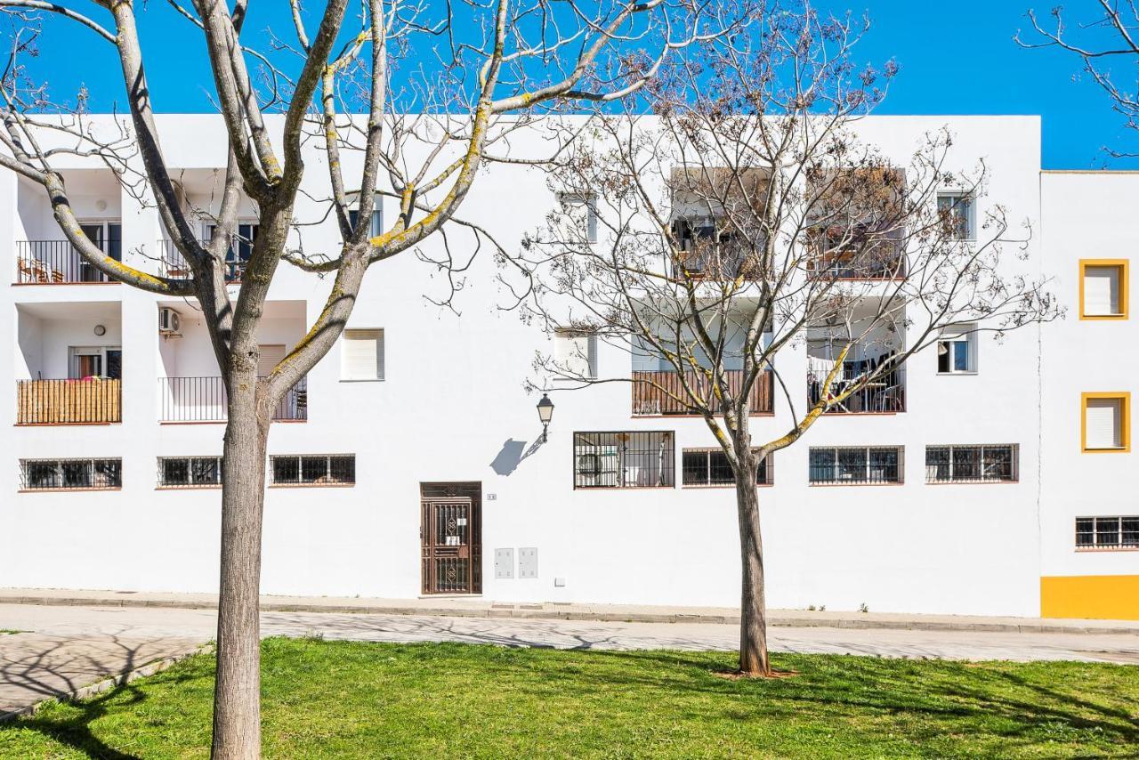 Casa Miren Daire Conil De La Frontera Dış mekan fotoğraf